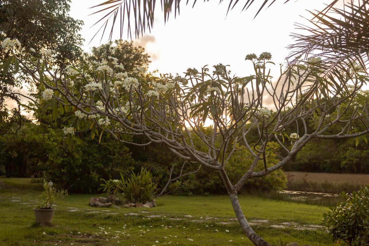 ايمباسّاي Pousada Lagoa Da Pedra المظهر الخارجي الصورة